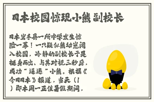 靠比较软件免费版大全下载免费